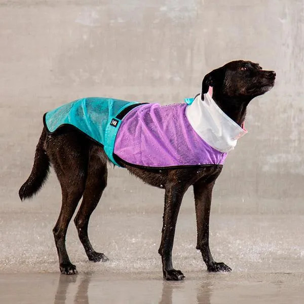 ZeeDog Bel Air Raincoat