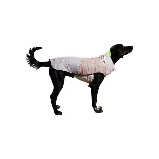 ZeeDog Oatmeal Raincoat