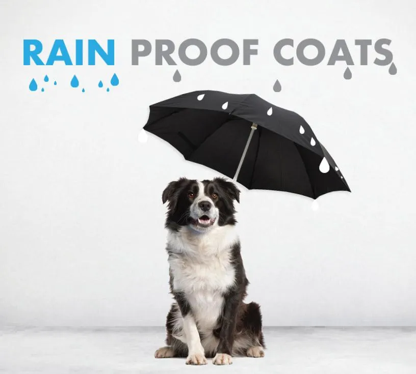 ZeeDog Ozzy Raincoat